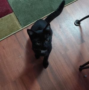 Meet your Posher, Meredith